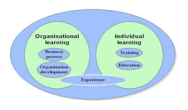 Individual and organisational learning